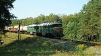 На Харьковщине неизвестные обстреляли товарный поезд
